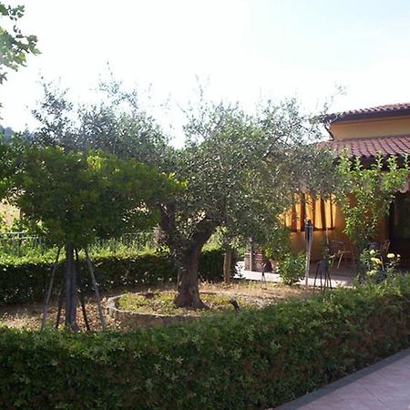 Agriturismo 7 Colonne Villa Bertinoro Eksteriør billede