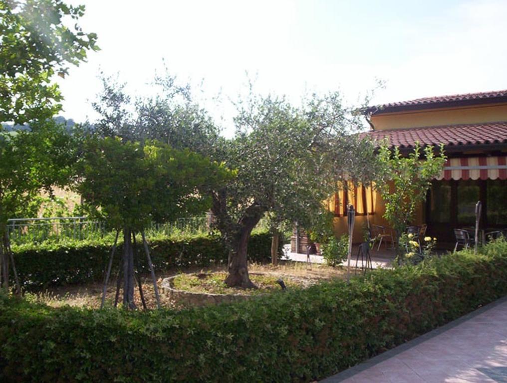 Agriturismo 7 Colonne Villa Bertinoro Eksteriør billede